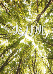 99久久中文字幕伊人情人